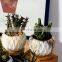 Popular Design Unique Small Ceramic Pots Indoor Circle European Mini Flowers Pot Set