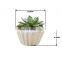 Wholesale Modern Simple White Decorative Garden Flower Pot Round Shell Shape Ceramic Succulent Plant Pot