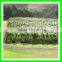 supply vineyard anti bird net/bird capture nets with low price