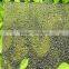 1mm 2mm 3mm pet sheets board instead of pc board Polycarbonate petg sheets and products ( Certified