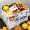 Wholesale customised corrugated paper carton box for fruit vegetable packaging                        
                                                                                Supplier's Choice