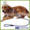 Name Brand Smart Dog Collars and Leashes, Dog Collars Manufacturers