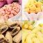 2d & 3d pallet food snack extruder processing line