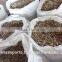 Bulk moringa seeds suppliers from india
