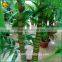 Home Decoration Artificia Bamboo Fake Bamboo Plastic Lucky Bamboo Decoration