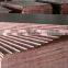 hot sale marine plywood prices