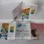 High Quality Wholesale Paper Folder, Cheap Brochure Printing in China