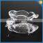 Electric furnace product LX crafts duck shaped crystal animal jar