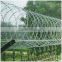 low price concertin razor barbed wire fencing price wire mesh for sale