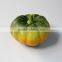 foam pumpkin