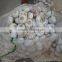 sale 2015 garlic factory 40-80 mesh dehydrated garlic