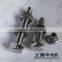 Duplex 2205 (S31803/F51/1.4462) China Hardware Stainless Steel Standard Size Bolt and Nut