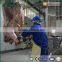 Halal Automatic Customized Cattle Cow Slaughtering Line Equipment Machine
