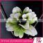 Hot Sale Wedding Decoration natural preserved flower wholesale silicone flowers artificial