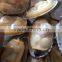 Boiled freezing wholesale new produced baby clam meat