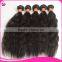 Best Brazilian Hair China Suppliers Virgin Brazilian Braiding Hair,Wholesale Human Hair Braiding