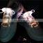 good quality led shoelace light up shoelace led blinking shoelace
