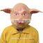Fashion Custom Party Latex Pig Full Head Mask