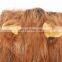 Wholesale OEM Manufacturer Pet Wig Lion Mane Costume For Small Large Dogs Festival Party Fancy Hair Dog Clothes