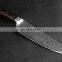 8 inch Damascus stainless steel chef knife auspicious clouds pattern