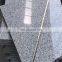 Best Sale Grey Granite, Light Grey Granite