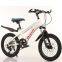 Hot sale kids mountain bike variable speed kids bike for sale