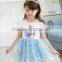 children clothes frozen elsa dress wholesale AG-CD0003