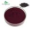 FREE SAMPLE Goji Berry Powder Lcycium Barbarum Polysaccharide Goji Berry Extract Wolfberry Extract