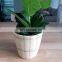 High Quality Mini Bamboo Planter Pot Small Flower Tiny Planter Pot Air Plant Holder Wholesale Vietnam Supplier