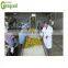Automatic dried mango  chips machine line auto vacuum fried mango chip making machines cheap price for sale
