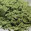 Factory Direct Sale Ndbc/Nbc CAS 13927-77-0 Rubber Additive Antioxidant