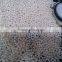 Loose Pearls Undrilled
