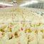 Full Set Poultry Control Shed Equipment for Breeder House
