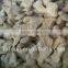 Chinese Best Price New Crop Cumin Seeds For Sale