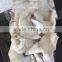 Giant squid neck, Dosidicus gigas Peru squid, Humboldt squid