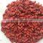 Dried Goji Berries