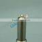 0 445 110 321 Injection Nozzle DLLA145P1738 Jiangling diesel injection common rail injector nozzle assy DLLA145P1738