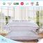 Hotel Wholesale Satin Piping Microfiber Fiber Filled Quilted Pillow