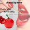 wholesale lip gloss hot Lip Care product exquisite special Private Label