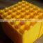 PVC Mould light weight Egg incubator kinds of holes practical plastic egg trays with high quality