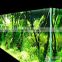 daisy chain full spectrum led fresh water tank aquarium light,72 inch/6ft moonlight / vivid color led aquarium lights