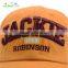 wholesale/high quality 6 panel adjustable 3D embroidery customize plain baceball cap