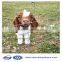 Factory direct cheap heavy duty sheep fence,horse fence,cattle fence