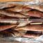 frozen whole flying squid Todarodes pacificus