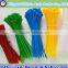 Electronic 100mm&200mm Plastic Wire Ties/Nylon Strap Cable Ties/Thin Cable Ties