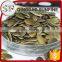 Grade gws pumpkin seeds kernels for sale in high quality