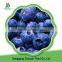 China high quality sweet delicious bulk IQF frozen blueberry prices