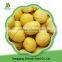 Impressive green health food lowcost whole frozen fresh chestnuts