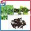 Pickled Pepper Leaves