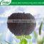 potassium humate fertilizer